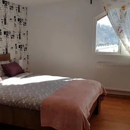 Apartmán Prahova Valley Sinaia
