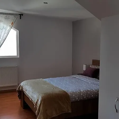 Prahova Valley Apartmán Sinaia
